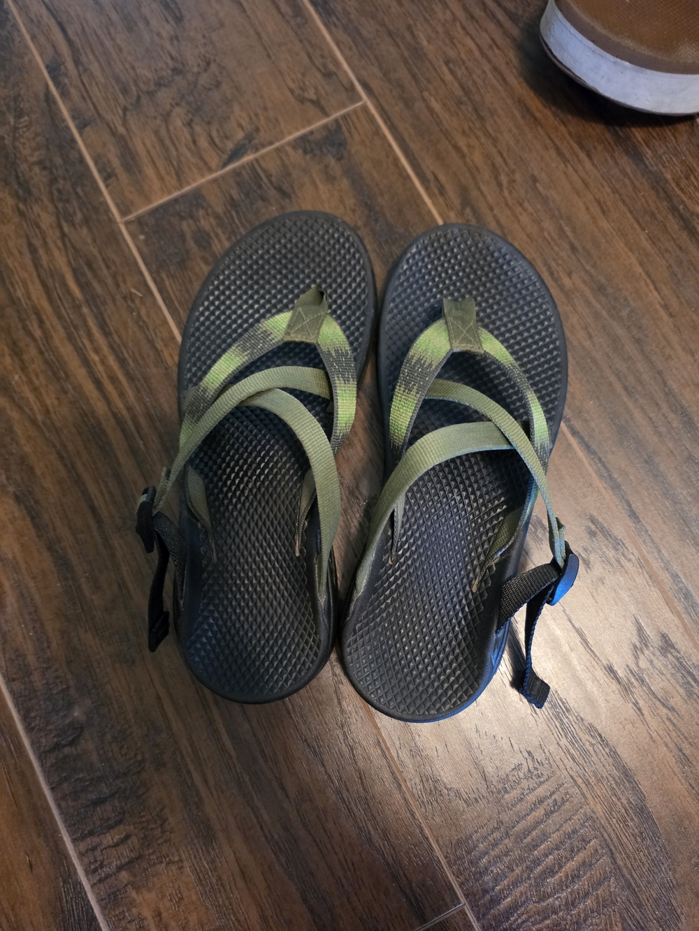 Chaco Women's Green Strappy Sandals